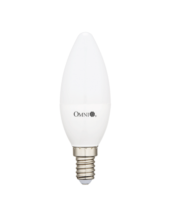 6W Frosted Cover LED Candle Bulb 